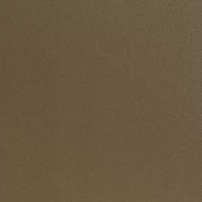 Metallic Beige S-305